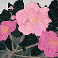 Winter Wonders